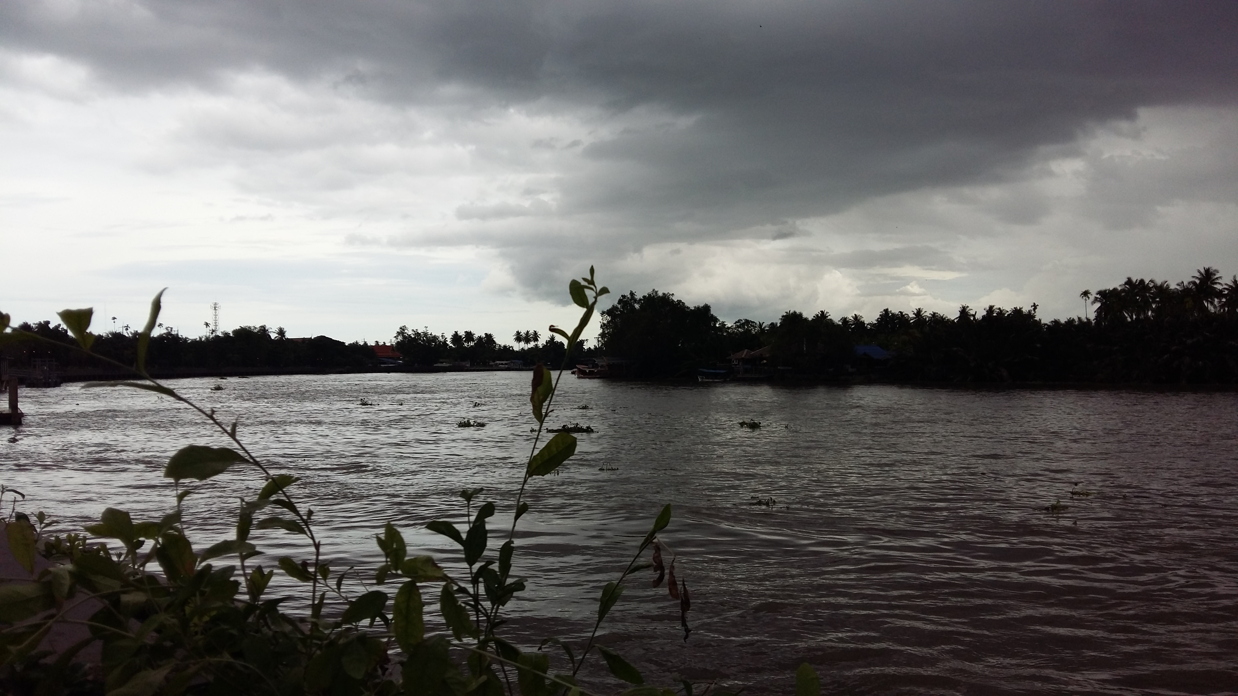 Black clouds, Trees MaeKlong river
